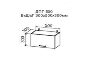 Шкаф верхний ДПГ500 горизонтальный в Ревде - revda.магазин96.com | фото