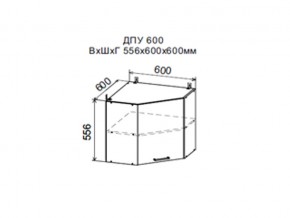 Шкаф верхний ДПУ600 угловой в Ревде - revda.магазин96.com | фото